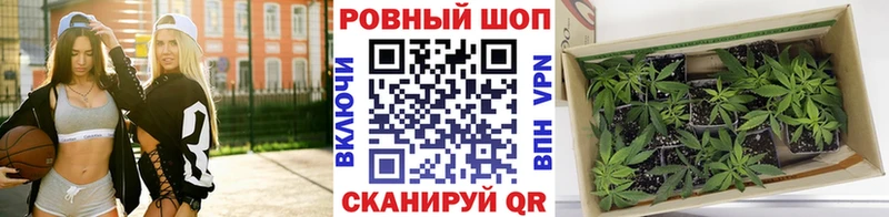Купить наркотики сайты Кольчугино Гашиш Марихуана МДМА Мефедрон Alpha-PVP