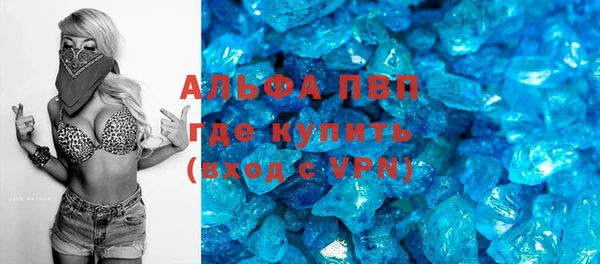 крисы Алексин