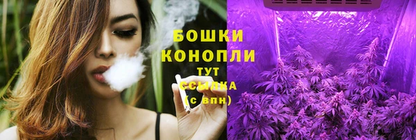 соль ск Снежногорск