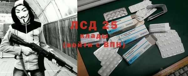 крисы Алексин