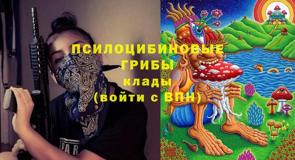 соль ск Снежногорск