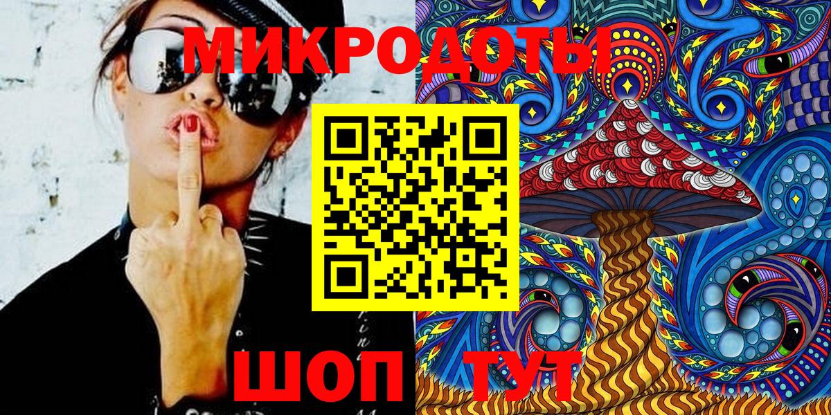 Галлюциногенные грибы Psilocybine cubensis Кольчугино