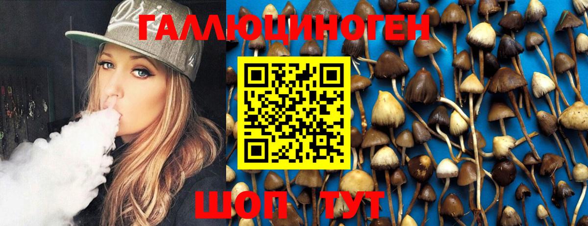 Кольчугино  Галлюциногенные грибы Magic Shrooms  Вход с VPN 